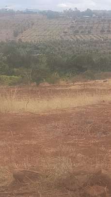 Several Parcels of Farm Land Available For Lease in Thika image 2