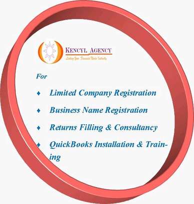 Business Registration & Tax Consultant image 1