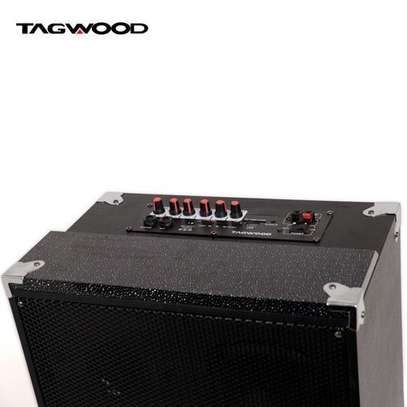 TAGWOOD 10A Outdoor Speaker image 6