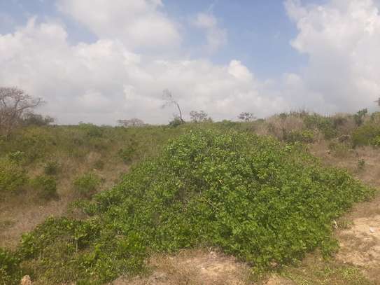 45 acre beach front plot at Funzi image 3