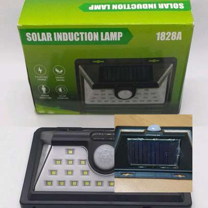 Solar induction LED wall light motion sensor image 1