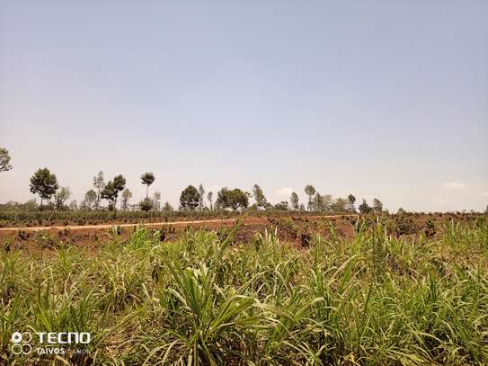 0.5 ac Residential Land at Off Panafric Insurance Avenue image 7