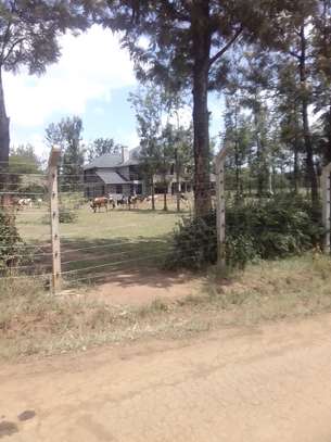 Gicheha plot in Nakuru Sobea image 3