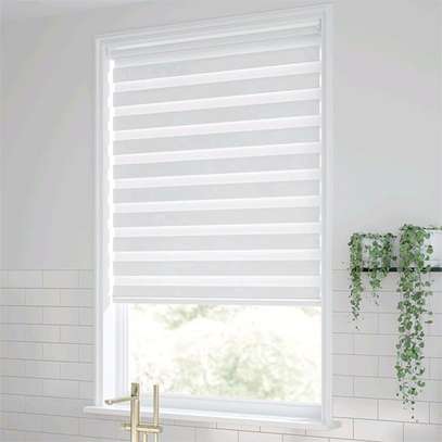 ®§× BLINDS image 2