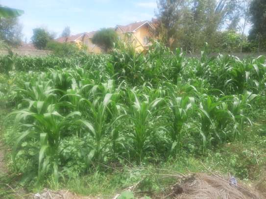 Quarter Acre Land for sale at Syokimau image 7