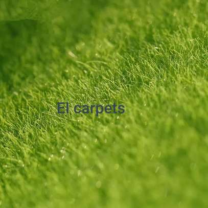 CLASSIC GRASS CARPETS image 2