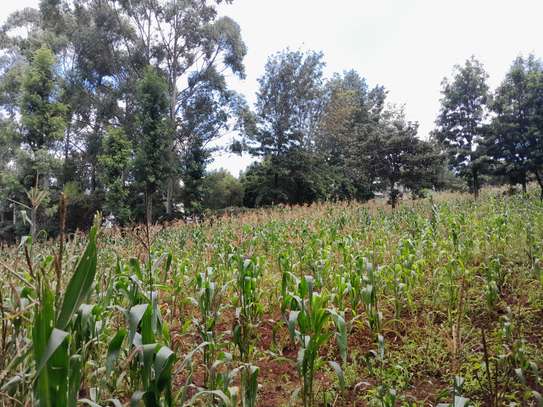 Residential Land in Ngong image 1