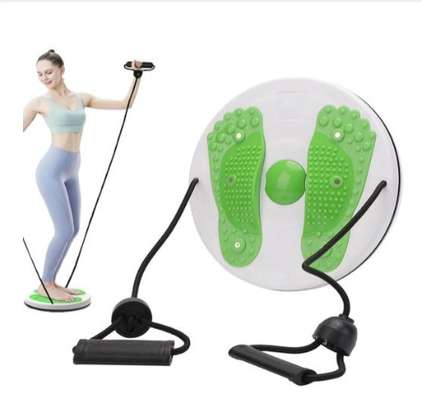 Yoga Twist Disc Plate image 5