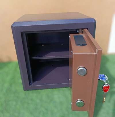 Office Safe : 44KGS Biometric Fireproof Office Safe image 3