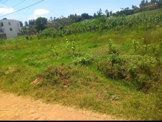 A Half Acre plot for sale at Clay City, Kasarani image 3