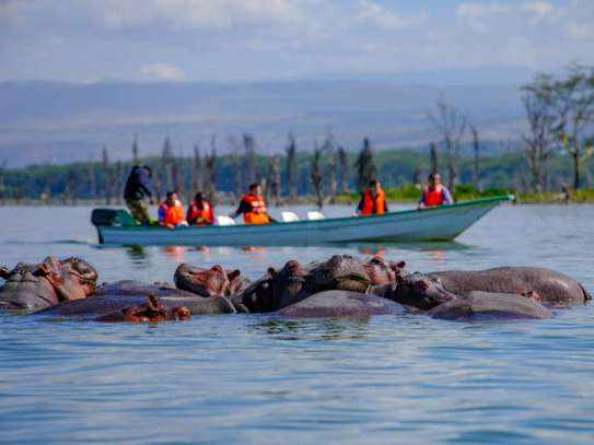 I Day Lake Naivasha & Crescent Island Tour image 7