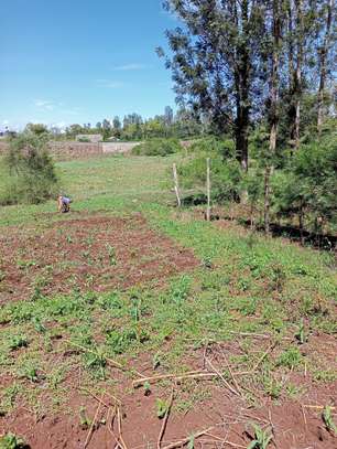 0.05 ha Residential Land at Kikuyu Kamangu image 1
