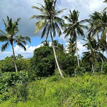50*100 plots for sale in Diani image 1