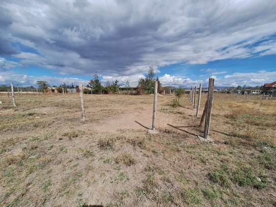 1/8 Acre land for Sale inJoska near Sunshine Junction image 6