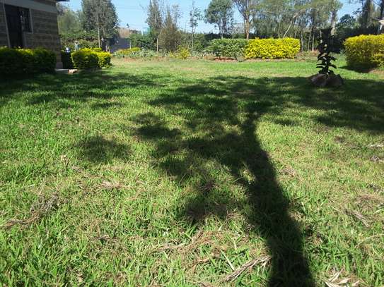 Lovely 5 BR House plus Dsqs in Karen on One Acre Land image 10