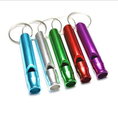 Whistle Security Sport Keychain keyholder coaches image 3