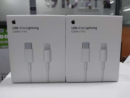Apple Type-C to Lightning Cable 1M image 2
