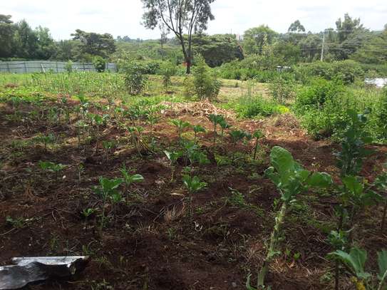 1 ac Land in Karen image 7