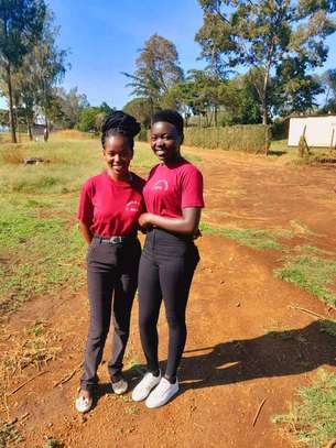 Tea girls services in Kenya image 3