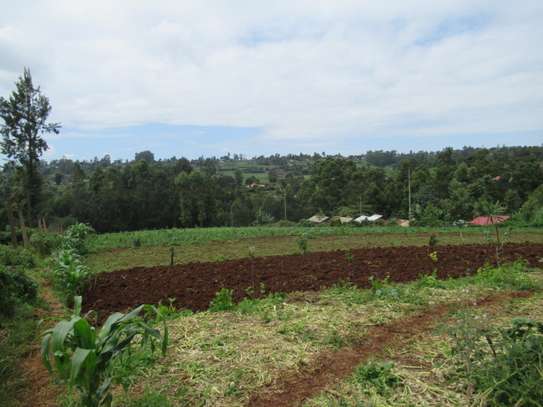 3.25 Acres Of Land For Sale in Ruku/Wangige image 6
