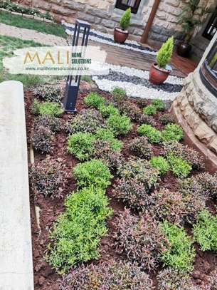 Landscaping Services - Design, Installation, Supplies image 2