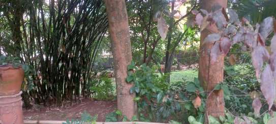 0.65 ac Residential Land at Mbaazi Avenue image 4