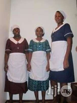 Need a Maternity Nurse, Nanny, Governess or Housekeeper? image 1