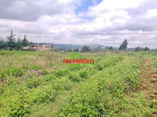 0.125 ac Residential Land at Migumoini image 12