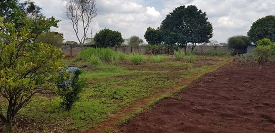 0.5 ac Residential Land at Hibiscus Drive image 5