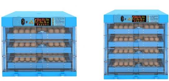 Get The Best and Affordable Egg Incubators image 2