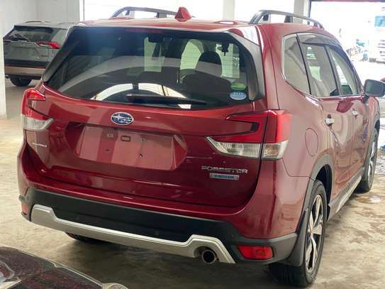 Subaru Forester E-boxer Redwine 2018 Sunroof image 13