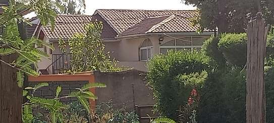 5 bedroom mansion for sale image 3