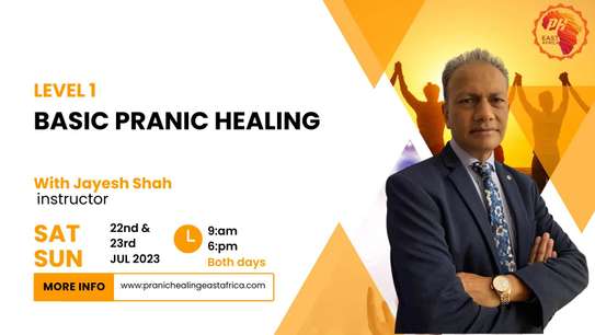 MCKS Level 1 Pranic Healing Workshop image 1