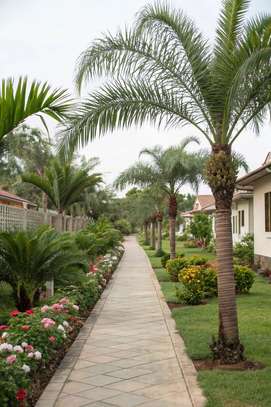 Landscape installation services image 3