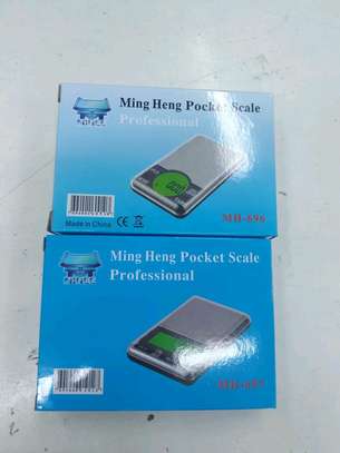 Ming Heng pocket Scale image 3