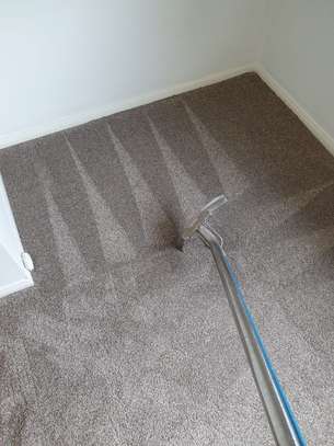 Carpet Cleaning Specialists.Lowest price  guarantee.Get a Free Quote today. image 4