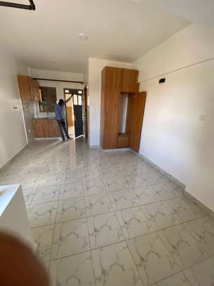 Studio Apartment with En Suite in Membley image 8