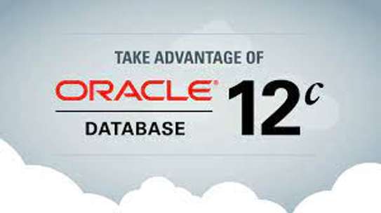 Oracle DBMS, Oracle 12c, Oracle 11g, Oracle 9i, Oracle image 1