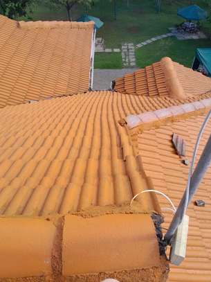 Roof Cleaner & Recoating image 3