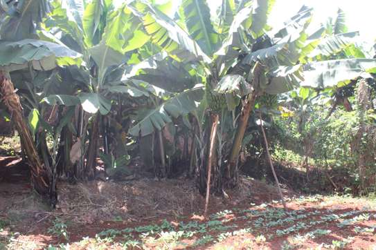 4 Bed Townhouse with En Suite at Loresho image 14