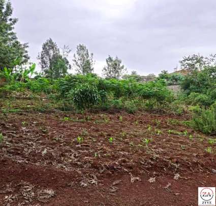 0.5 ac Residential Land at Muthaiga North image 4