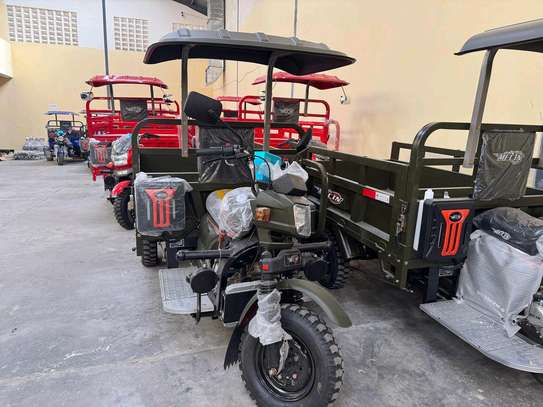 250 cc MECIN CARGO TUK TUK image 1