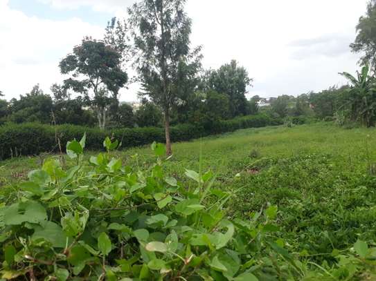 0.5 ac Residential Land in Thome image 1