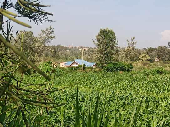 Commercial Land in Thika image 1
