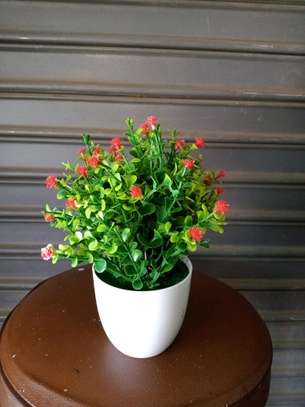 Bonsai Decor Flowers image 5
