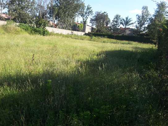 Lovely Half Acre Land in Ongata Rongai image 8