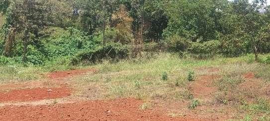 0.5 ac Residential Land at Muthithi image 3