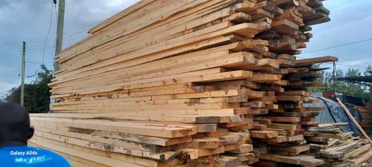 Cypress Timber for sale image 5