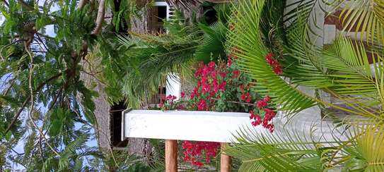 A house for sale in watamu near temple point hotel image 1