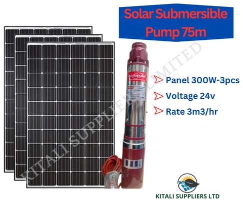 RUTANPUMP Submersible Solar Pump With 24v,75m Head image 1